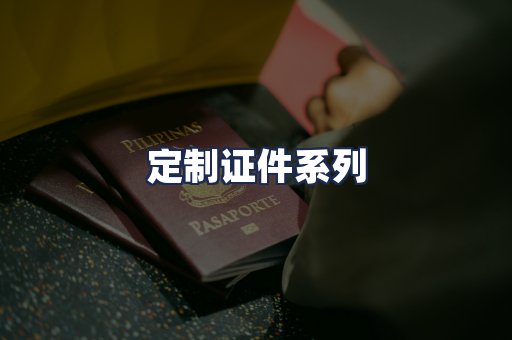 定制证件系列
